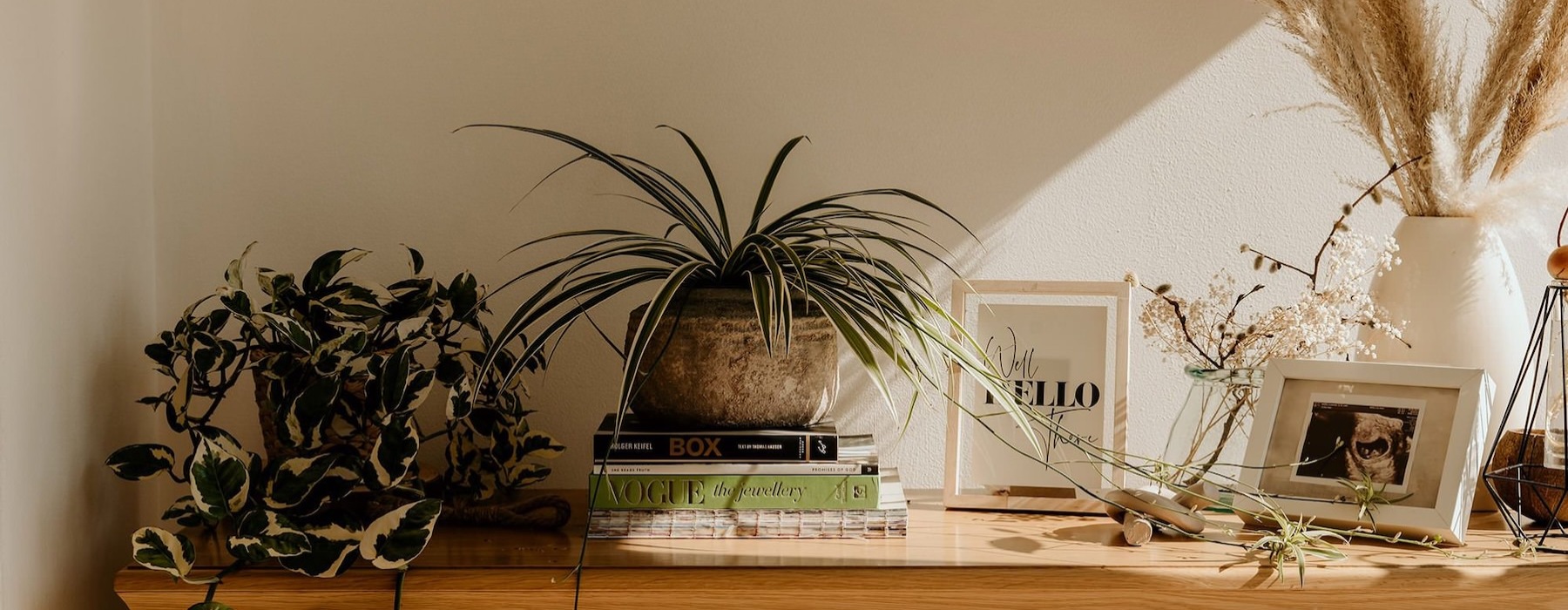 bureau top decorated with potted plants, books and framed pictures